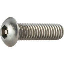 Security Screw With Pin In Socket Head